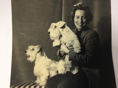 Lot 1501 - Of Royal Interest: circa 1955 Interesting collection of correspondence and photographs relating to Princess Margaret’s Sealyham Terrier ‘Johnny’