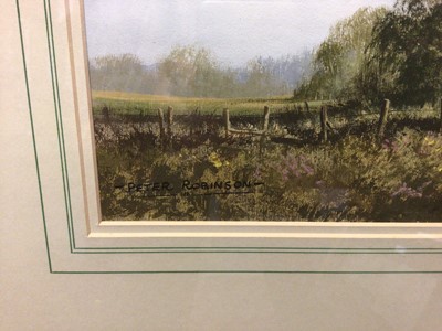 Lot 25 - Peter Robinson, (b. 1954) two watercolours, landscapes