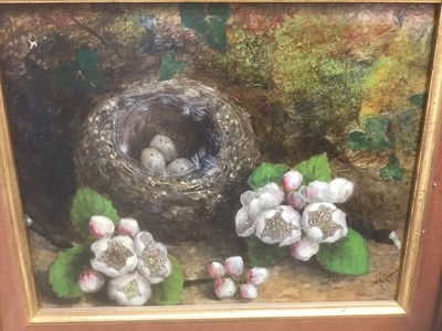 Lot 181 - Mary Ensor (act, 1863-1897)  oil on board, still life of birds nest and flowers