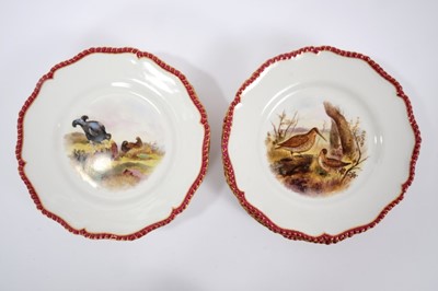 Lot 179 - Fine quality Royal Worcester sporting service, painted with various British birds, with maroon and gilt patterned rims, to include a platter, tureen and stand, two small serving dishes and twelve p...