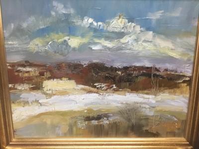 Lot 162 - Polish School, oil on canvas, abstract coastal scene