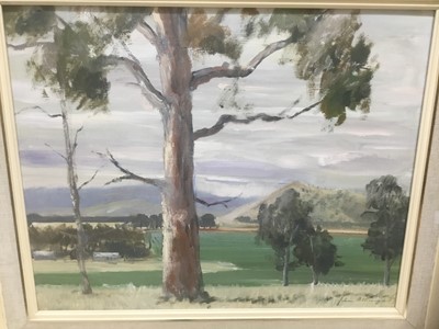 Lot 163 - John Attwood (20th century) oil on board, eucalyptus trees