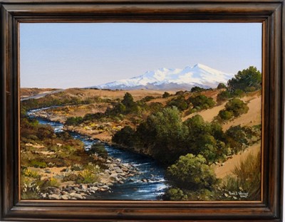 Lot 1042 - Peter J. Wallers (b.1953) oil on board - Australian Landscape, signed and dated 2003, 37cm x 50cm, framed