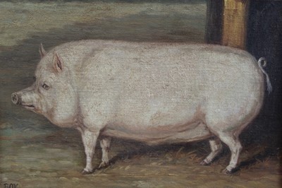 Lot 1126 - J. Box, 20th century, oil on canvas laid on board - a prize pig, signed, 29cm x 34cm, framed