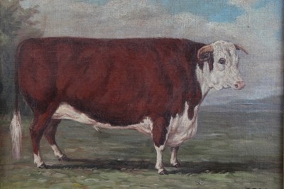 Lot 1127 - J. Box, 20th century, oil on canvas laid on board - a prize bull, signed, 29cm x 37.5cm, in gilt frame