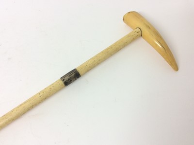 Lot 962 - 19th century walking cane with Marine ivory shaft, white metal collar and shaped handle.