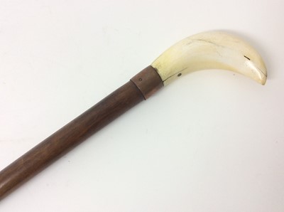 Lot 963 - Late 19th century walking cane with heavy wooden shaft and Marine ivory handle.