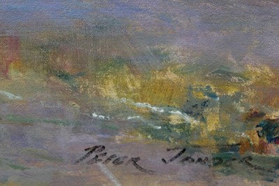 Lot 35 - Peter Jander (b.1954) oil on board - Extensive Landscape, signed, 74cm x 148cm, framed