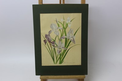 Lot 1293 - Group of late 19th century coloured botanical lithographs from 'The Garden' magazine, circa 1890, each mounted, smallest 39cm x 31cm, largest 51cm x 41cm