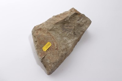 Lot 835 - Fragment of concrete by repute to be part of The Berlin Wall, 19cm in length