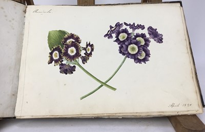 Lot 705 - Fine Regency botanical album