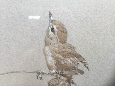 Lot 4 - Morris J Pedger (b. 1955) watercolour - Sparrow