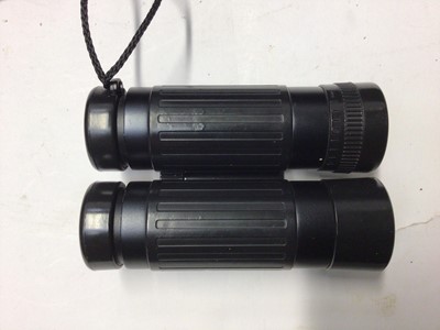 Lot 2303 - Pair of Leica 8x20 BCA binoculars