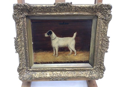 Lot 50 - English School 19th Century, "First Prize", a study of a terrier, oil on board, inscribed, in gilt frame. 18 x 22cm.