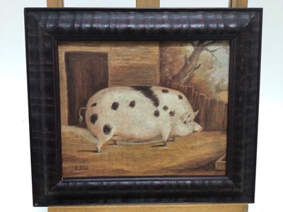 Lot 141 - J. Box, oil on canvas laid on board - A Black Spot Prize Pig in a Sty, signed, 20cm x 25cm, framed