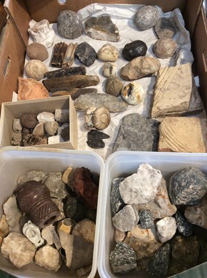 Lot 2457 - One box containing a quantity of fossils, minerals and other related items