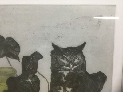 Lot 71 - Tiffany McNab (1964-2010) signed limited edition etching - 'Still life with wise Owl', 19/100, 55cm x 47cm, in glazed frame