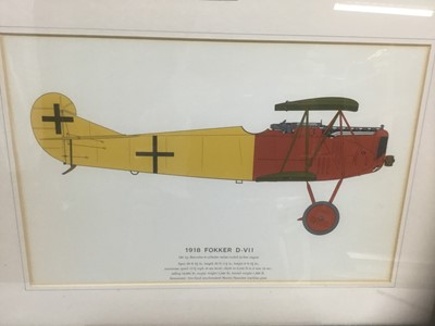 Lot 160 - Set of four coloured prints depicting early 20th century aeroplanes - 1909 Antoinette, 1917 Albatros, 1907/1909 Wright Flyer and 1918 Fokker, 28cm x 43cm, in glazed frames
