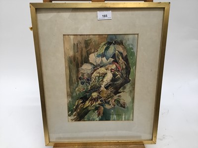 Lot 165 - Basil Ede (1931-2016) watercolour - a green woodpecker, signed, 28cm x 21cm, in glazed gilt frame  
NB: this is likely an early left handed work shortly after his stroke in 1989