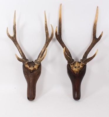 Lot 870 - Pair of antique folk art stags heads with carved wooden head and stag horn antlers