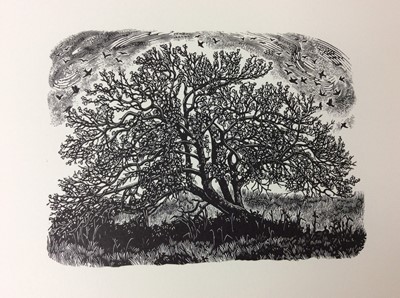 Lot 43 - Miriam Macgregor - Diary of an Apple Tree