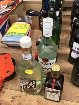 Lot 26 - Twelve bottles of alcohol and six alcohol miniatures, mostly spirits, including Akvavit, Martini, Bacardi, etc