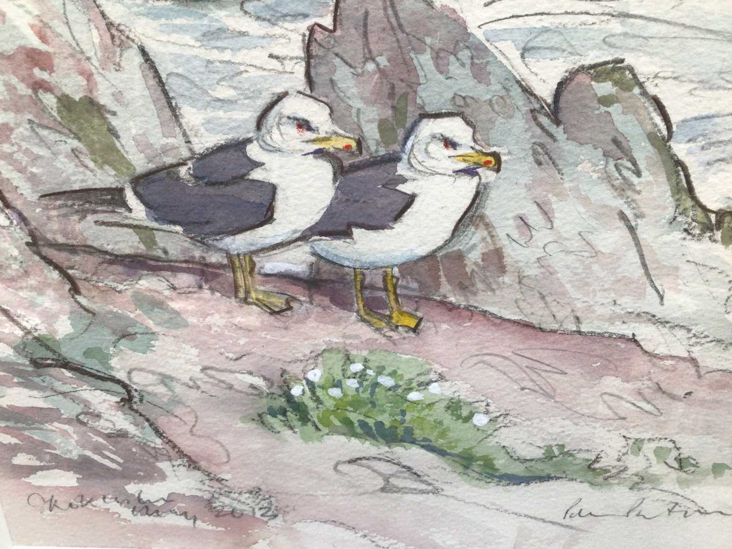 Lot 21 - Peter Partington (b. 1941) pencil and watercolour - two gulls on the coast, signed, 20cm x 28cm, in glazed frame