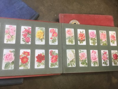 Lot 328 - Five Cigarette card albums