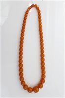 Lot 1535 - Amber bead necklace (possibly reconstituted)...