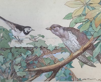 Lot 168 - Kay Nixon (1895-1988) watercolour and body colour, cuckoo and magpie