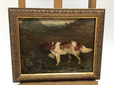 Lot 257 - English School 19th Century, oil on canvas, A setter in a landscape, monogrammed J.C. and dated 1869, in gilt frame. 21 x 28cm.