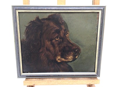 Lot 91 - Attributed to George Earl (1824 - 1908), oil on board, A study of the head of a large dog, in gilt and painted frame. 24 x 29cm.