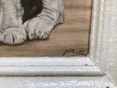 Lot 93 - Joyce Platt (b. 1920), oil on artist board, "Curious Friends", signed, in painted frame. 34 x 28cm.