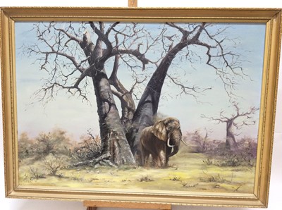 Lot 122 - Baxter, 1978 oil on canvas - an African elephant beneath a tree, signed and dated, 57cm x 82cm, in gilt frame