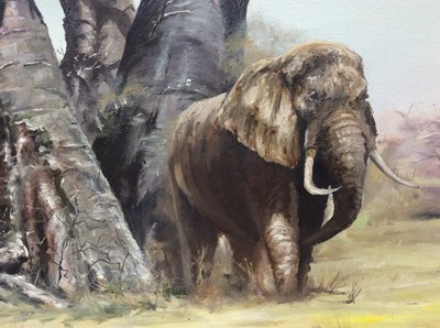 Lot 122 - Baxter, 1978 oil on canvas - an African elephant beneath a tree, signed and dated, 57cm x 82cm, in gilt frame