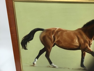 Lot 163 - B Wiseman (20th century) - oil on canvas - Horse study