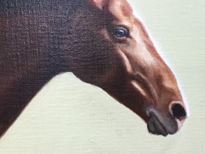 Lot 163 - B Wiseman (20th century) - oil on canvas - Horse study