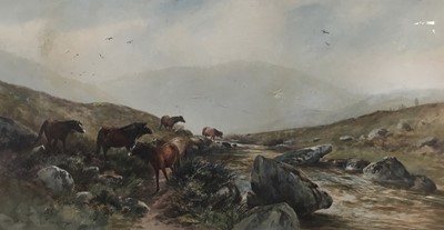 Lot 170 - William Henry Dyer (act 1890-1930) watercolour - Dartmoor Wild. Ponies
