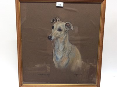 Lot 178 - Marjorie Cox (1915-2003) pastel portrait of a greyhound named Snuggles, signed and dated 1970, 49cm x 45cm, in glazed frame