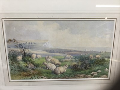 Lot 196 - Follower of Thomas Sidney Cooper, watercolour, sheep on a headland, 22 x 38cm, glazed frame