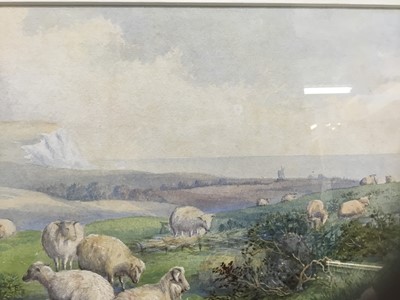 Lot 254 - Follower of Thomas Sidney Cooper, watercolour, sheep on a headland, 22 x 38cm, glazed frame
