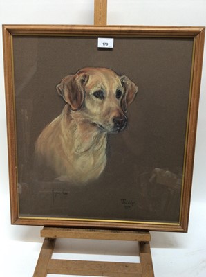 Lot 179 - Marjorie Cox (1915-2003) pastel portrait of a Labrador named Judy, signed and dated 1970, 49cm x 45cm, in glazed frame