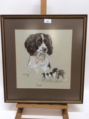Lot 180 - Judith Stowell, pastel portrait of a spaniel named Rose, signed and dated 1981, 34cm x 32cm, in glazed frame