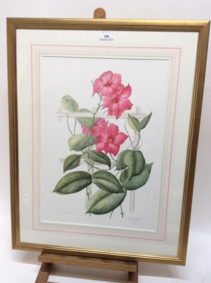 Lot 189 - Susan Corbett, contemporary, watercolour - still life Diplodomia, signed and dated 2000, 49cm x 35cm, in glazed gilt frame