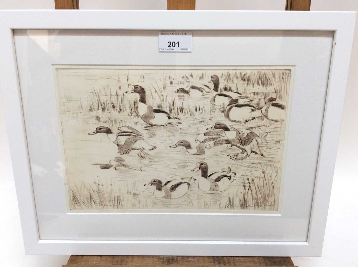 Lot 211 - Peter Partington (b.1941) signed etching - Shelduck, 20cm x 28cm, in glazed frame