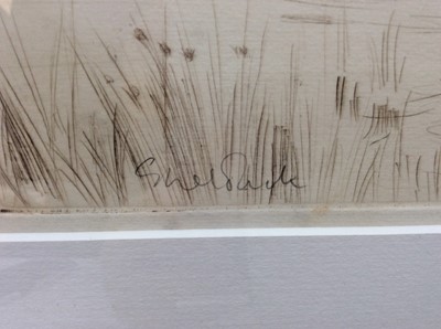 Lot 121 - Peter Partington (b.1941) signed etching - Shelduck, 20cm x 28cm, in glazed frame