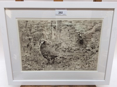 Lot 202 - Peter Partington (b.1941) signed etching - Pheasants, 20cm x 30cm, in glazed frame