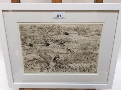 Lot 203 - Peter Partington (b.1941) signed etching - Mallards, 20cm x 28cm, in glazed frame