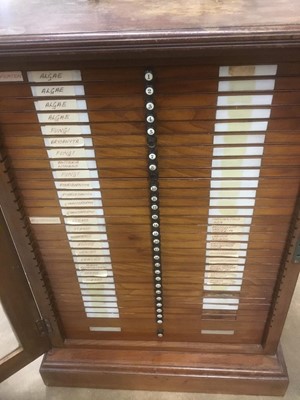 Lot 2404 - Fine Victorian slide cabinet and contents including slides by Ernie Ives