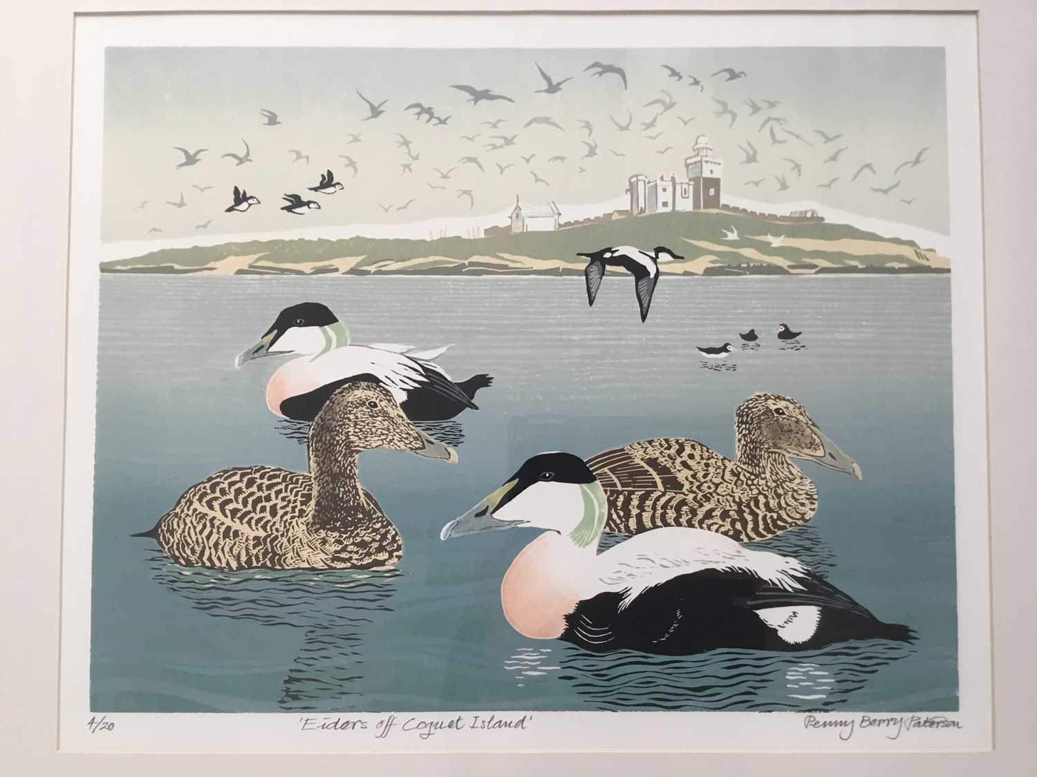 Lot 117 - Penny Berry Paterson (1941-2021) colour linocut, Eiders off Coguet Island, signed, titled and numbered 4/20, image 32 x 42cm, framed
